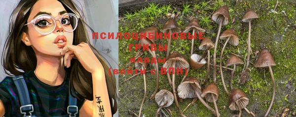 не бодяженный Алексин
