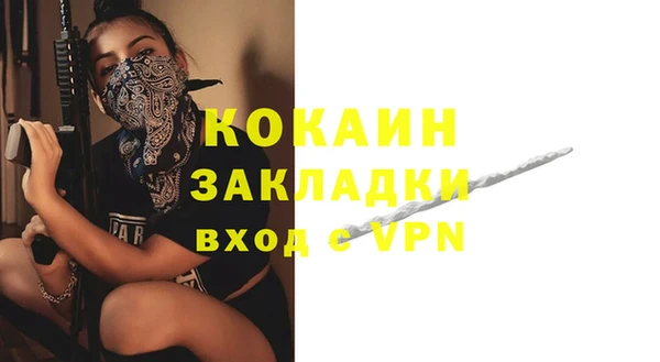 не бодяженный Алексин