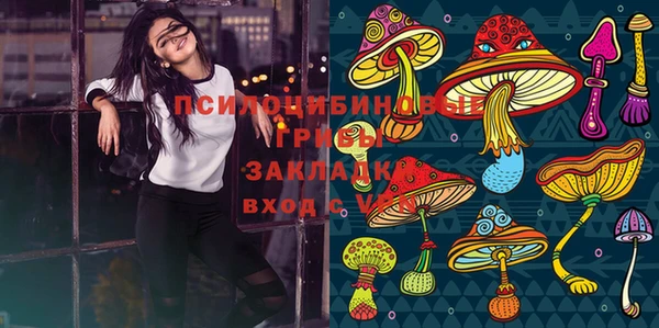 прущие крисы Алексеевка