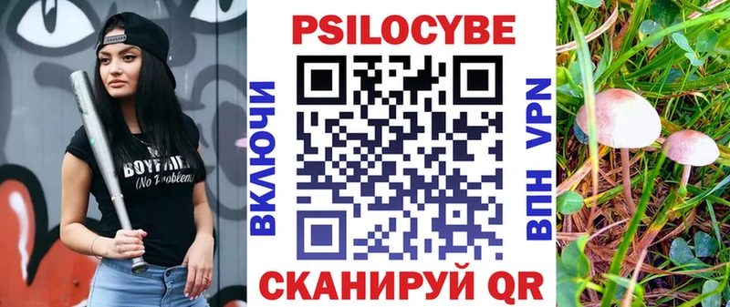 купить наркоту  Чаплыгин  Галлюциногенные грибы ЛСД 